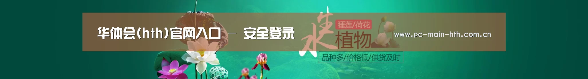 鲜花水草花卉网站模板