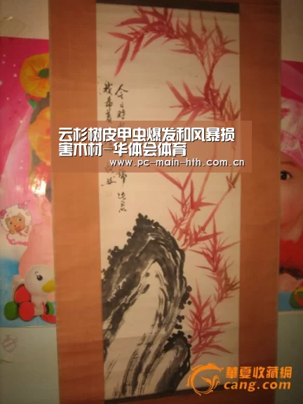 电竞棋牌