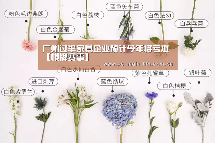 华体会体育